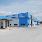 手机看片福利在线